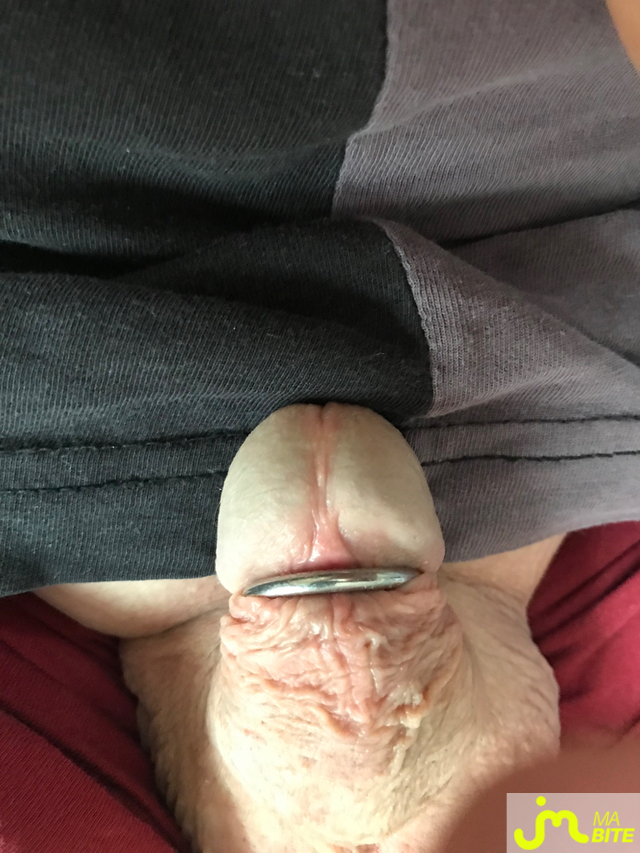 bites de Alpa56