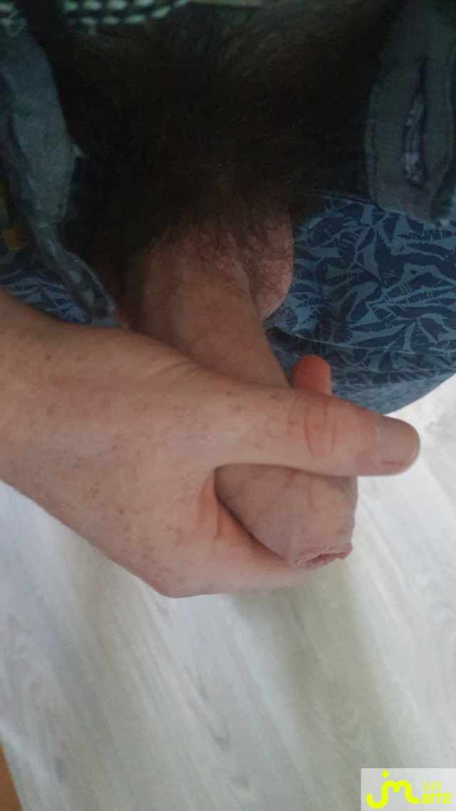 bites de Pop5454bis