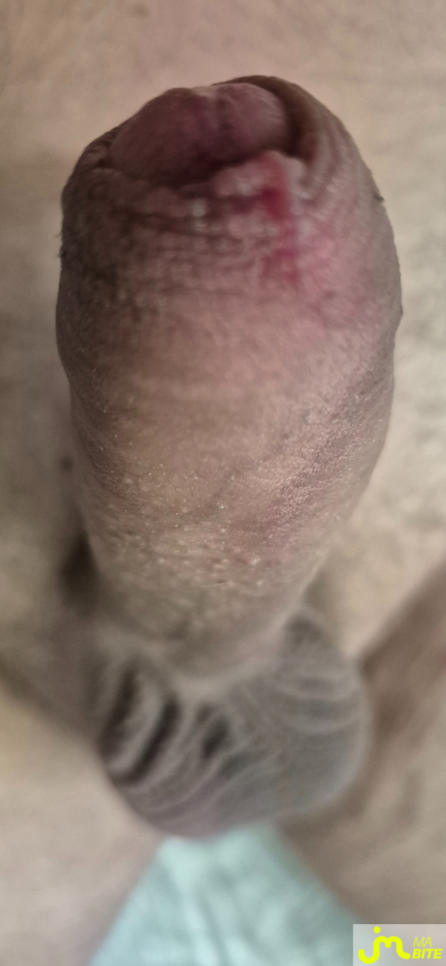 bites de Ohsavoyard