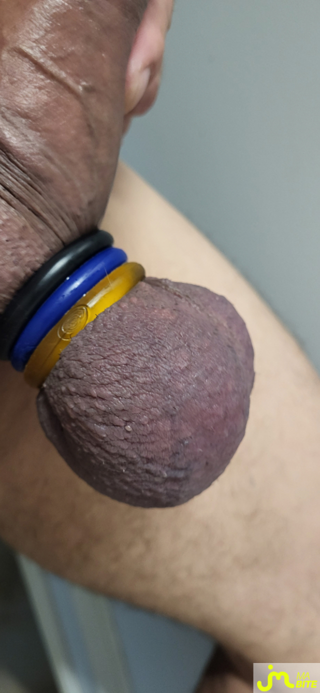 bites de BIGBIDUL