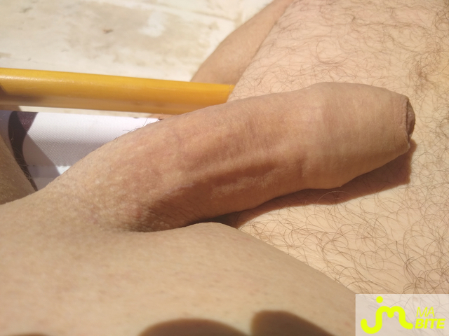 bites de Lami63
