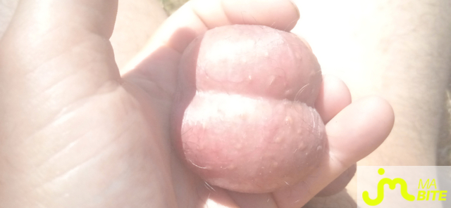 bites de Étirement boules