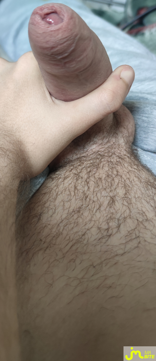 bites de Camerone6901