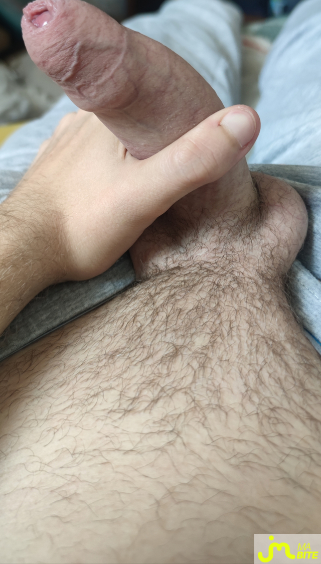 bites de Camerone6901