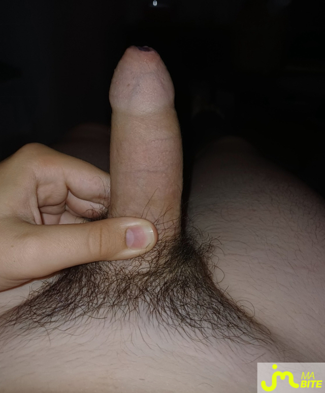 bites de Paaa