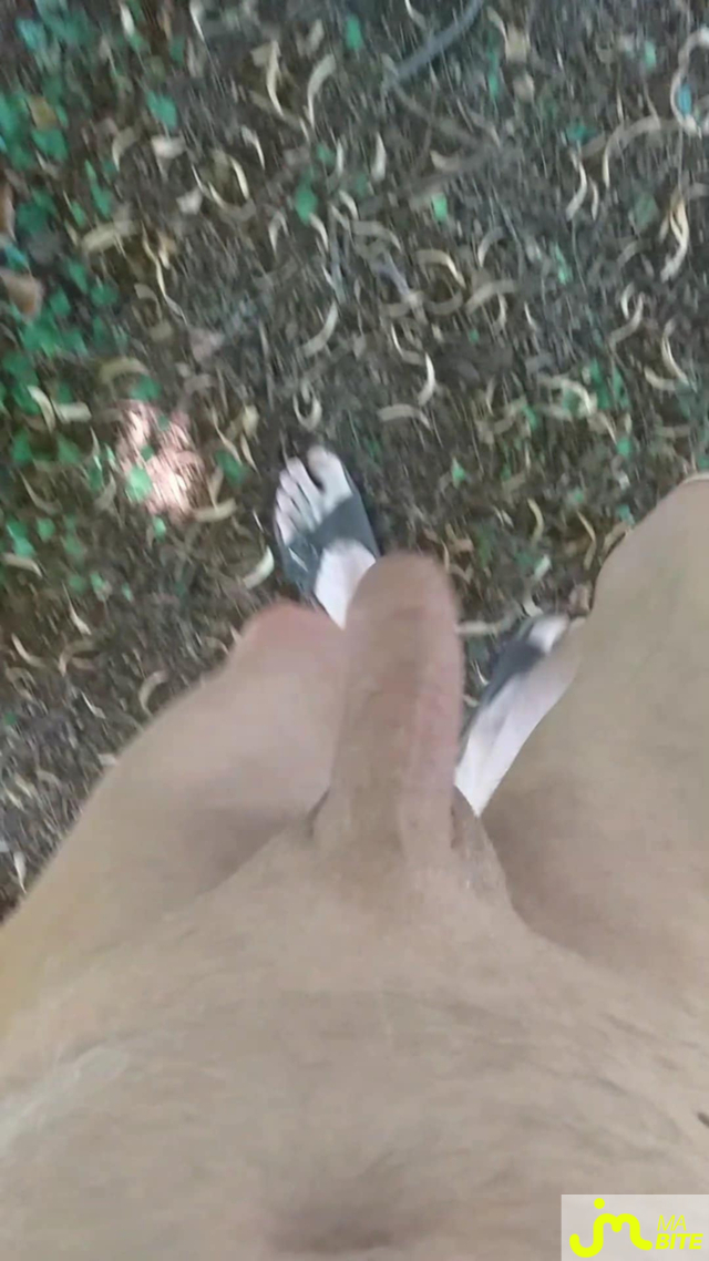 bites de Veys 59