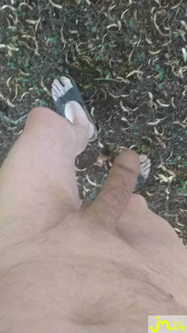 bites de Veys 59