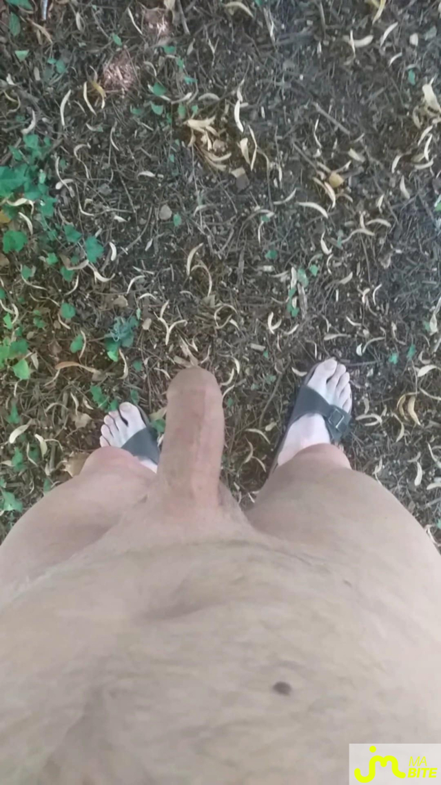bites de Veys 59