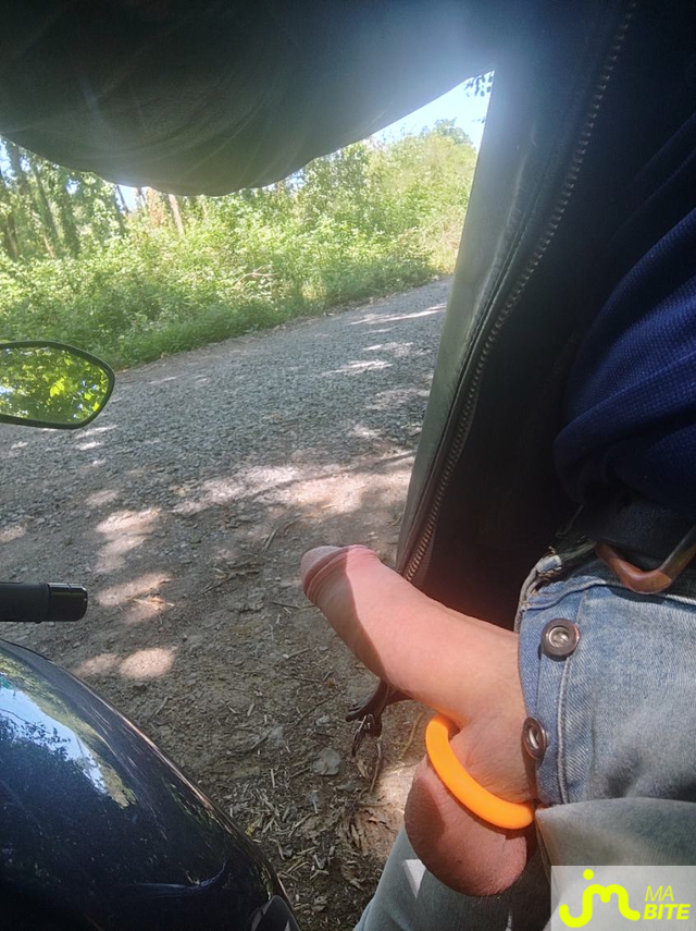 bites de mimibreton