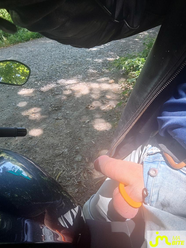 bites de mimibreton