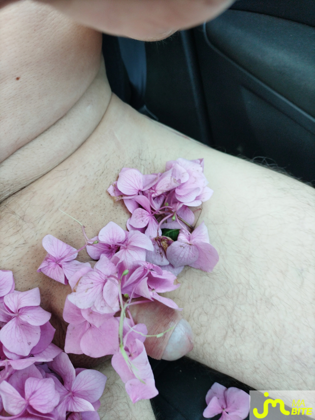 bites de ange76