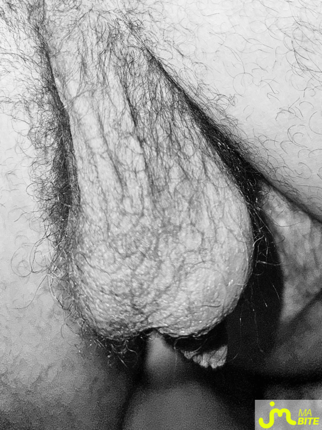 bites de Couplebibaiseurs