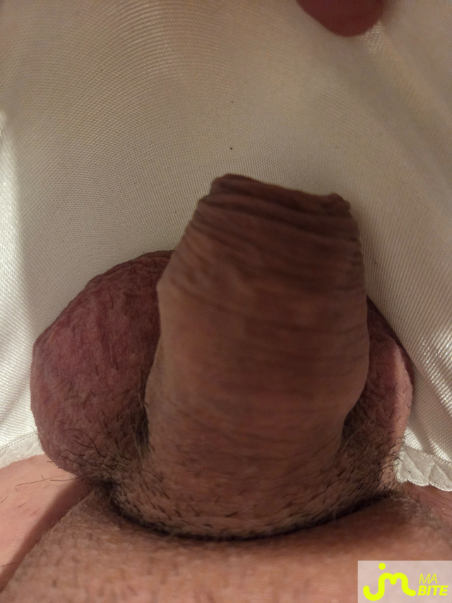 bites de aimedessoufeminin