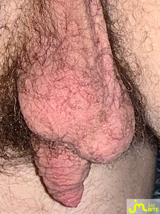 bites de Couplebibaiseurs