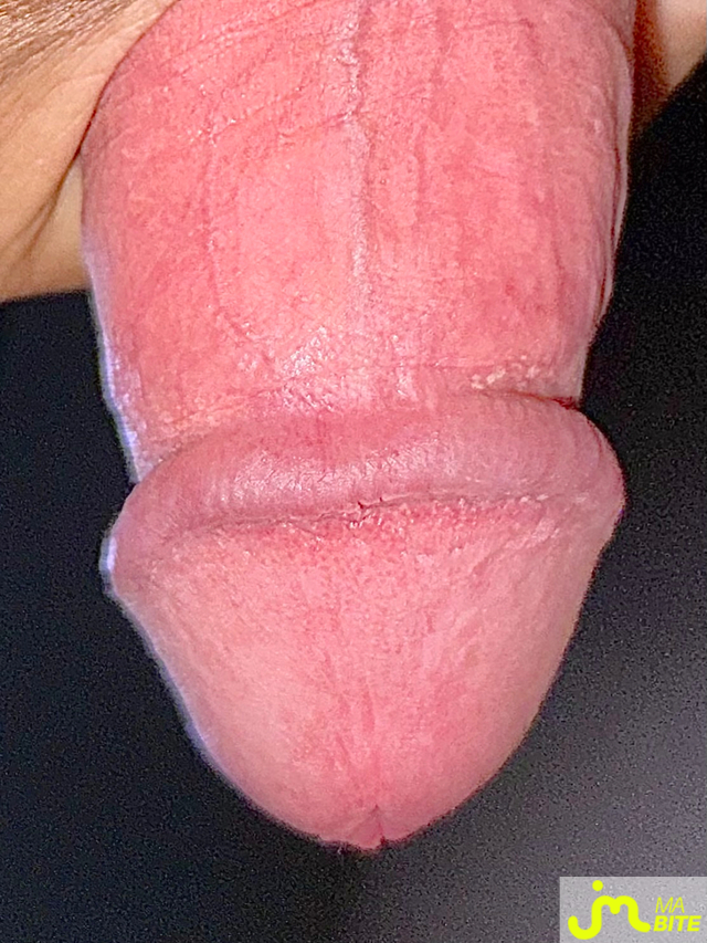 bites de Couplebibaiseurs