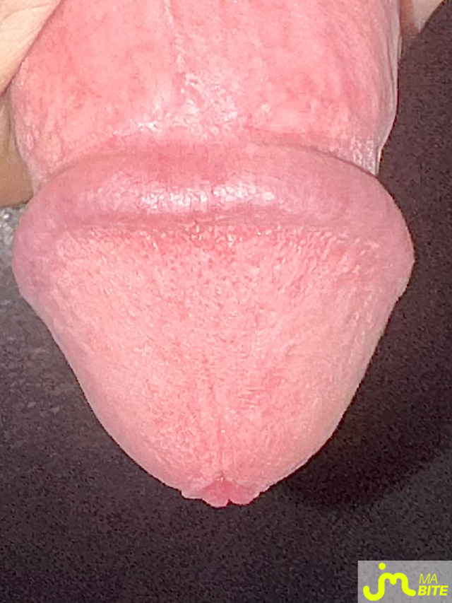 bites de Couplebibaiseurs