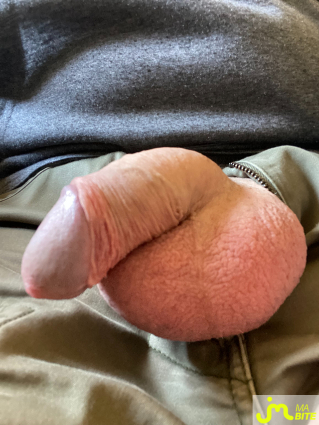 bites de LUI 61200