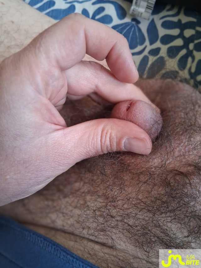 bites de oktogon