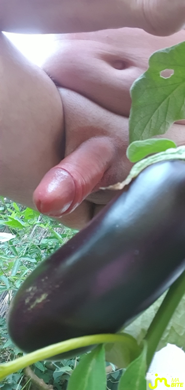 bites de BiteduVaucluse
