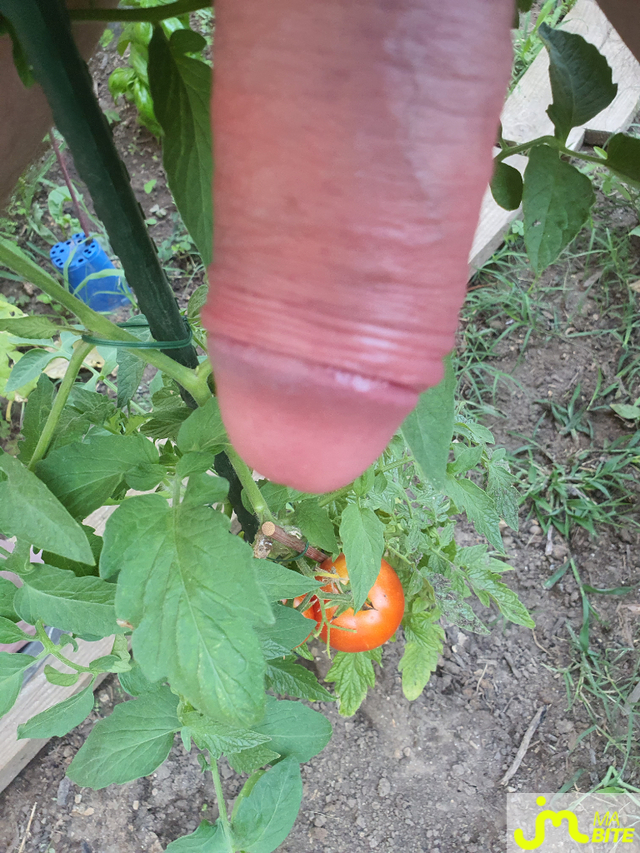 bites de BiteduVaucluse