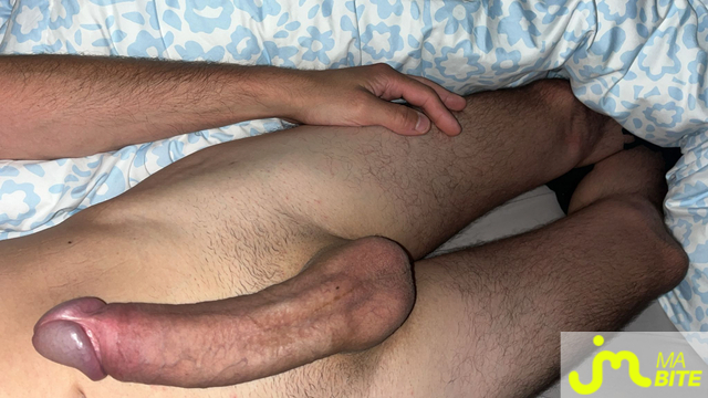 bites de Stemo91