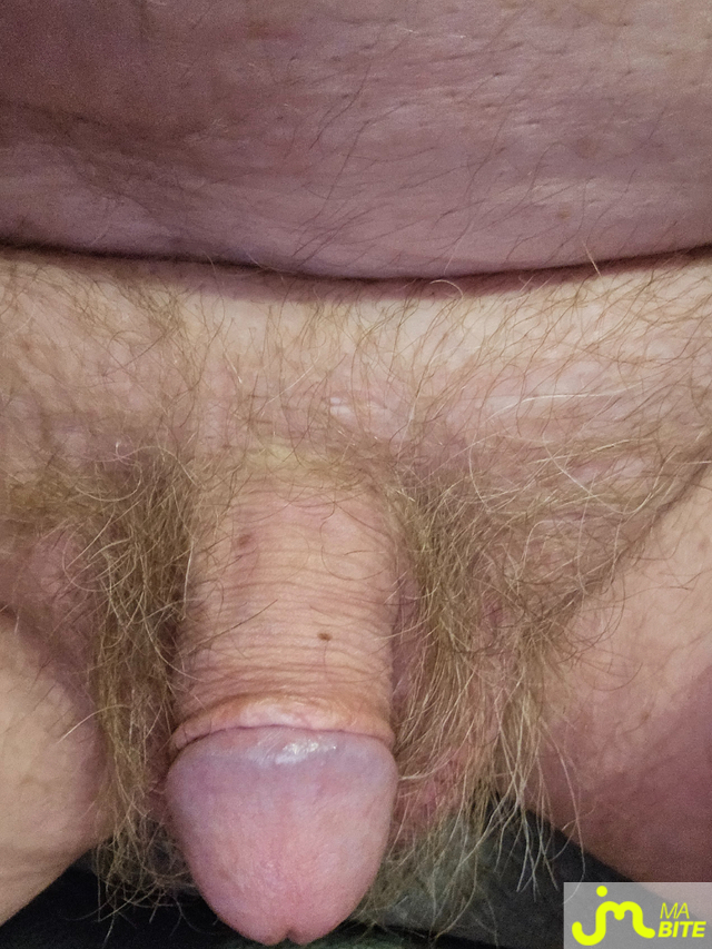 bites de Jean michel89