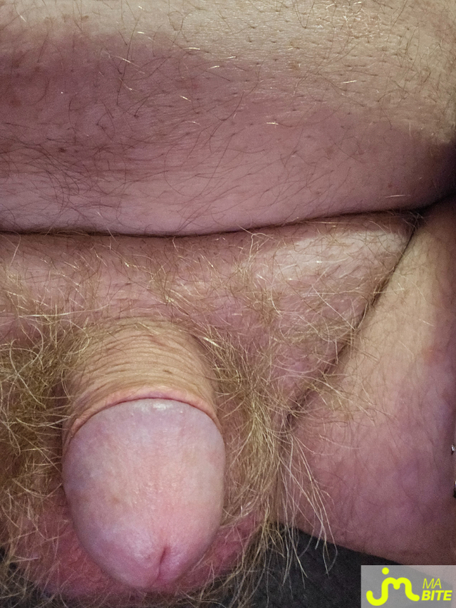 bites de Jean michel89