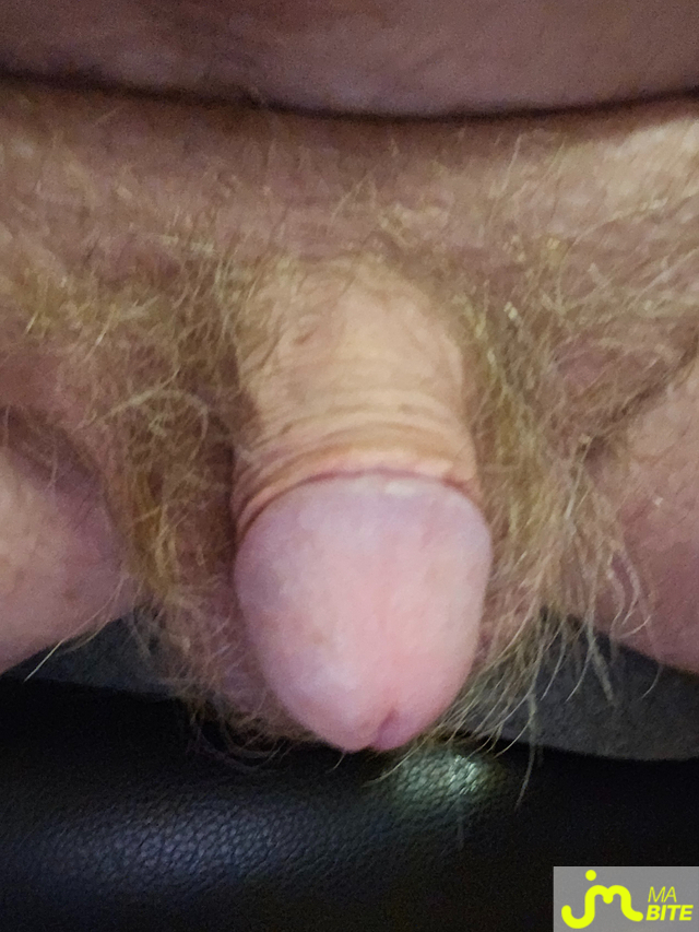 bites de Jean michel89