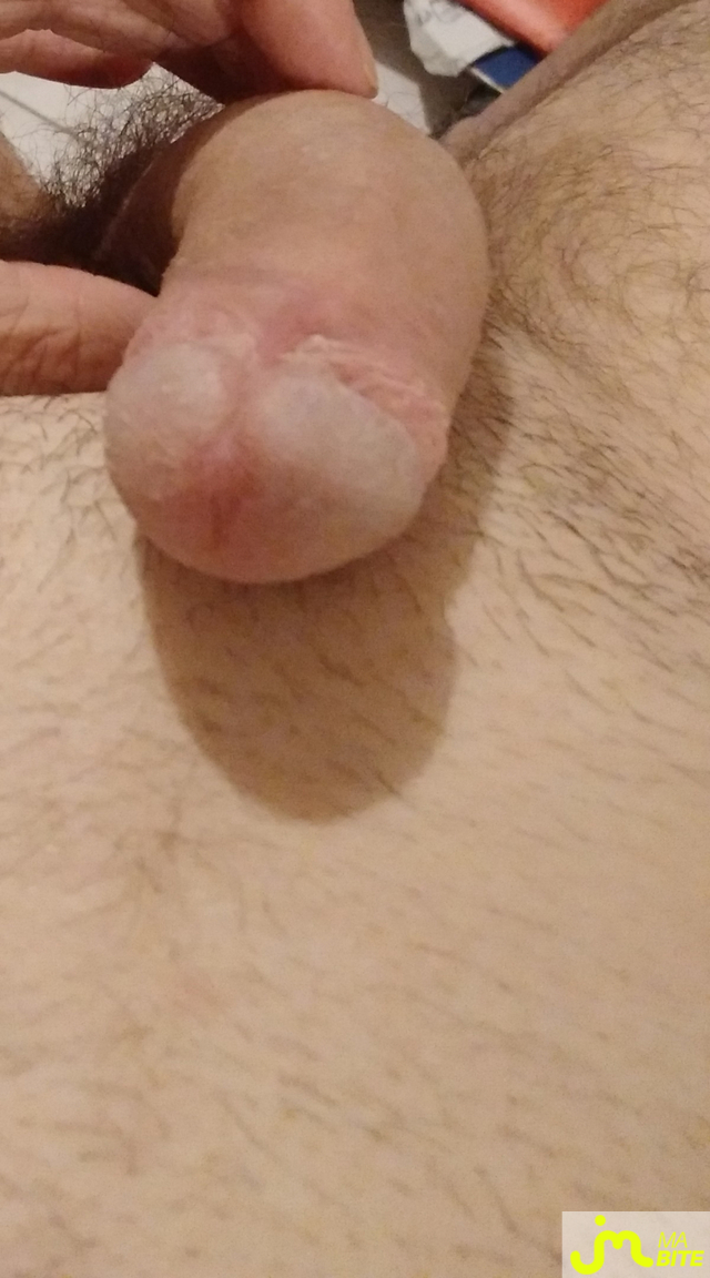bites de Felice Felice