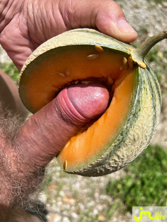 bites de vertvif