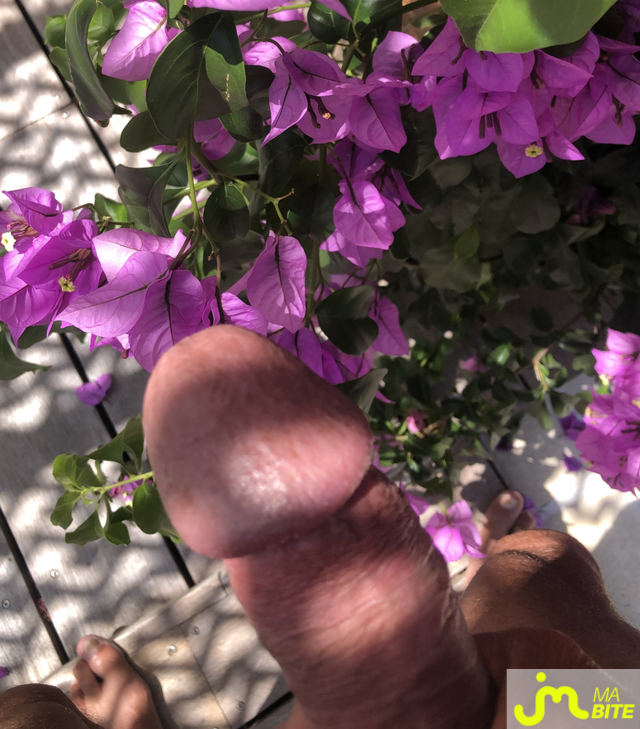 bites de bota17