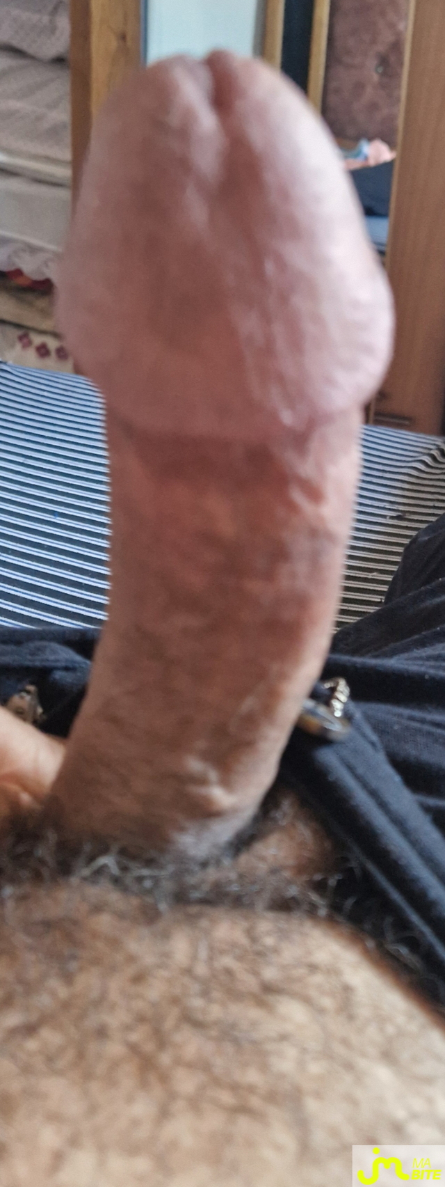 bites de Samir59