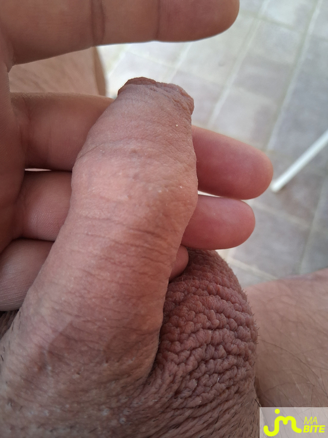 bites de Seb34260