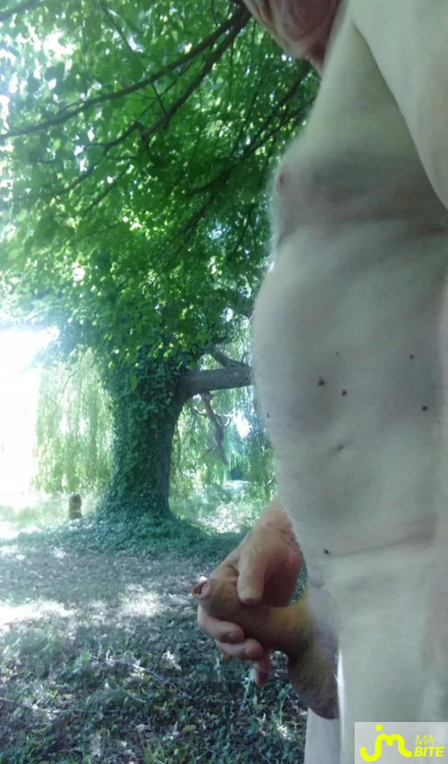 bites de Veys 59