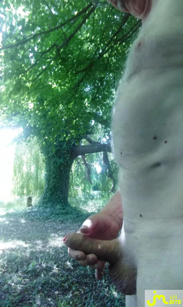 bites de Veys 59