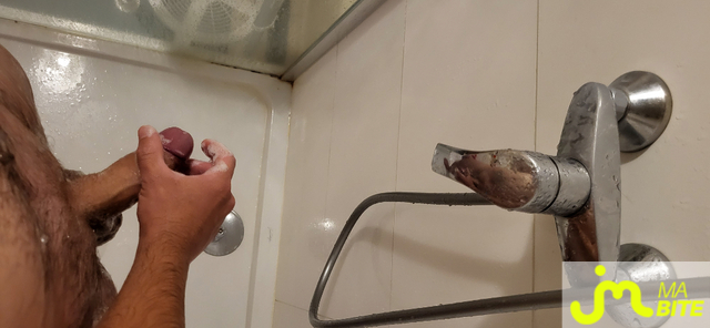 bites de FrJ28