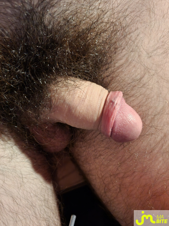 bites de Pop5454bis