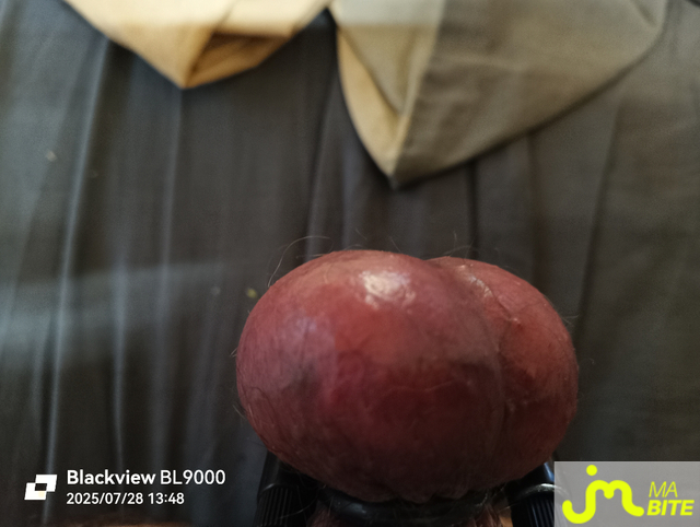 bites de Étirement boules