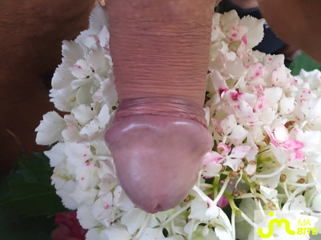 bites de Lami63