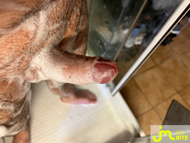 bites de Reno54400