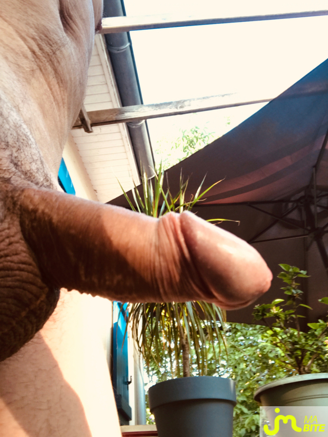 bites de Cromagnon24