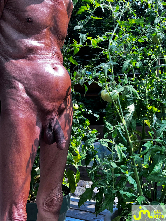 bites de jolie27