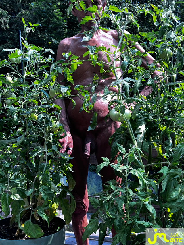 bites de jolie27