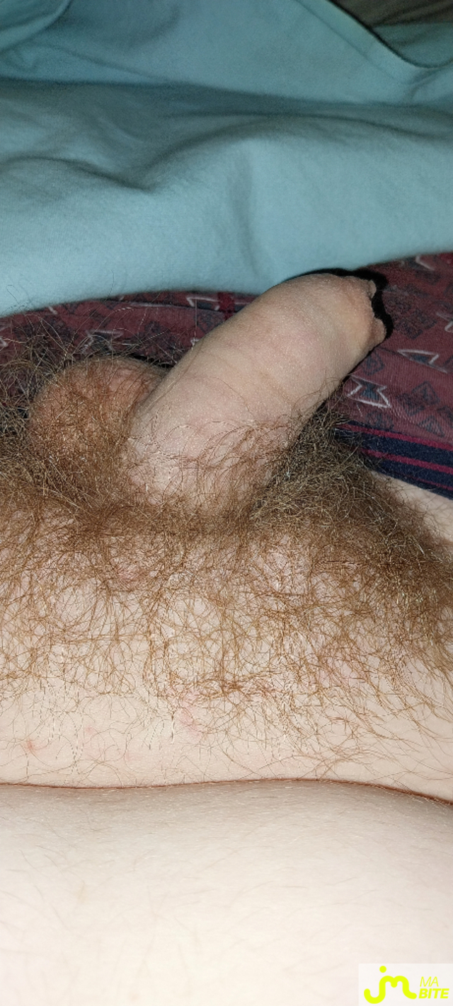 bites de Baban.28