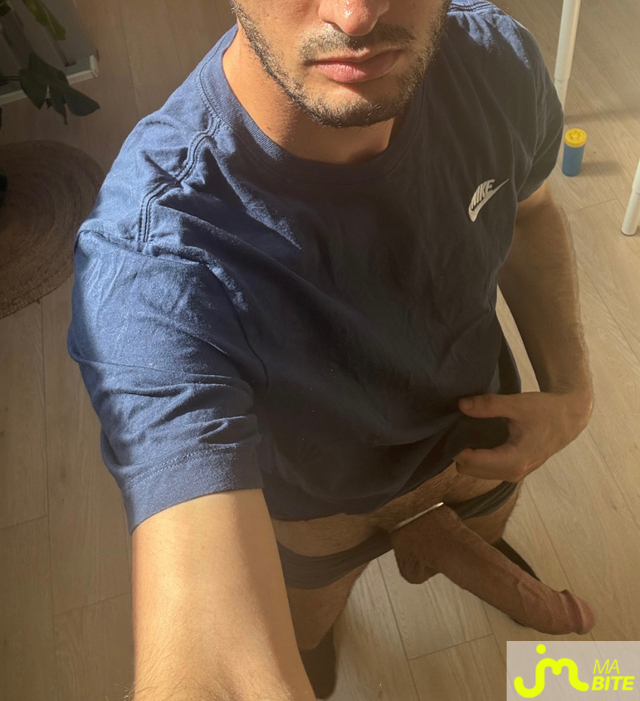 bites de Gay1638