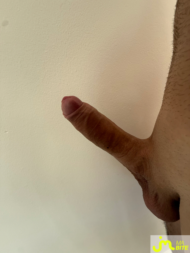 bites de Treza2