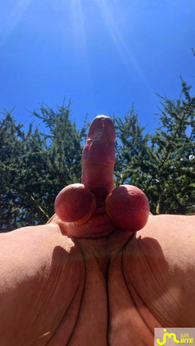 bites de Vxmâlebi46