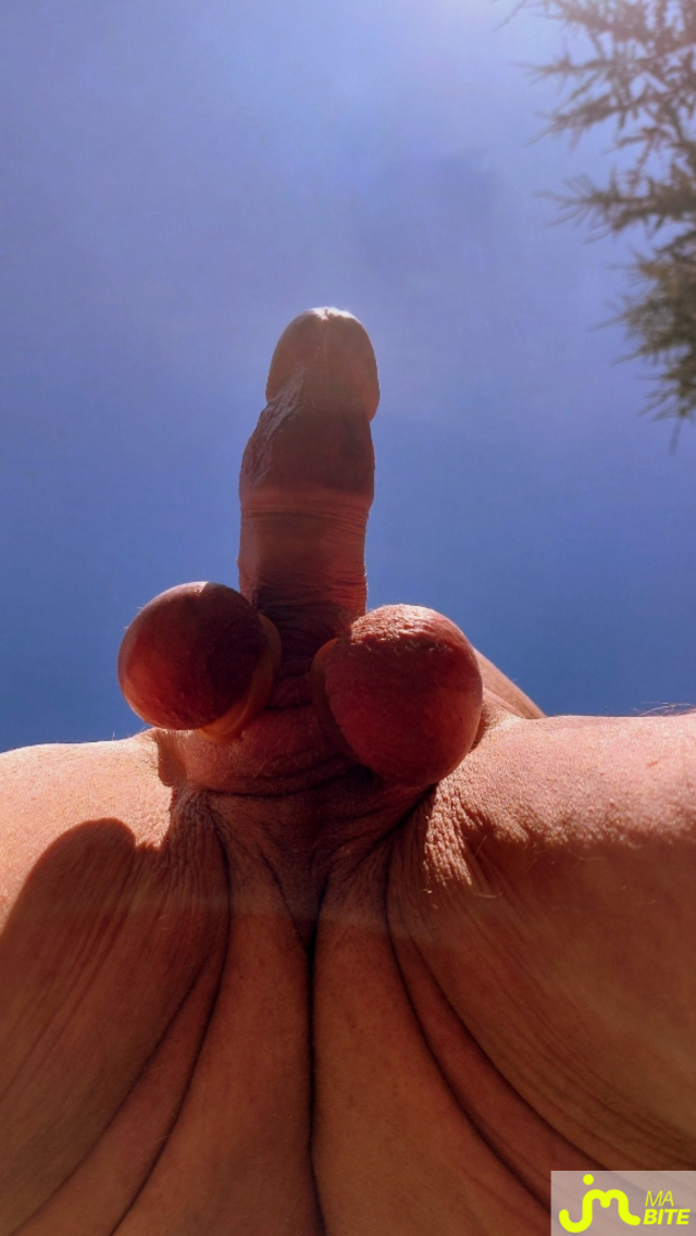 bites de Vxmâlebi46