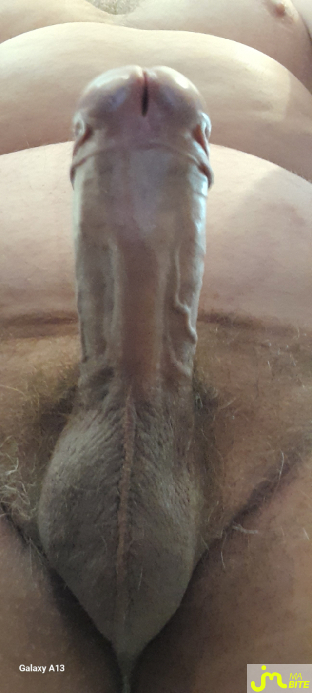bites de Grenobois