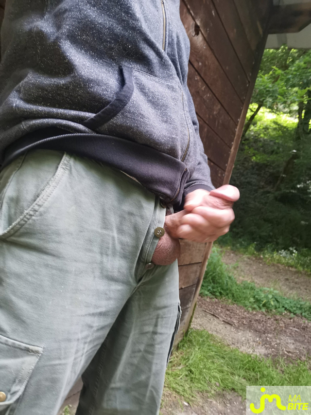 bites de Frankdu19